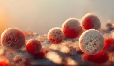 After 11 years of research, scientists unlock a new weakness in deadly fungi