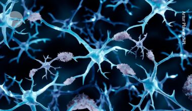 Cancer might protect against Alzheimer’s — this protein helps explain why