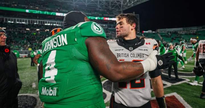 Johnson retires to become Riders DL coach