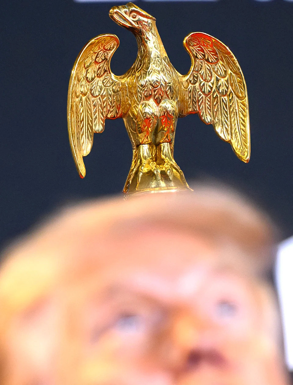 Trump has bald eagles on the brain. / MANDEL NGAN / Mandel NGAN / AFP