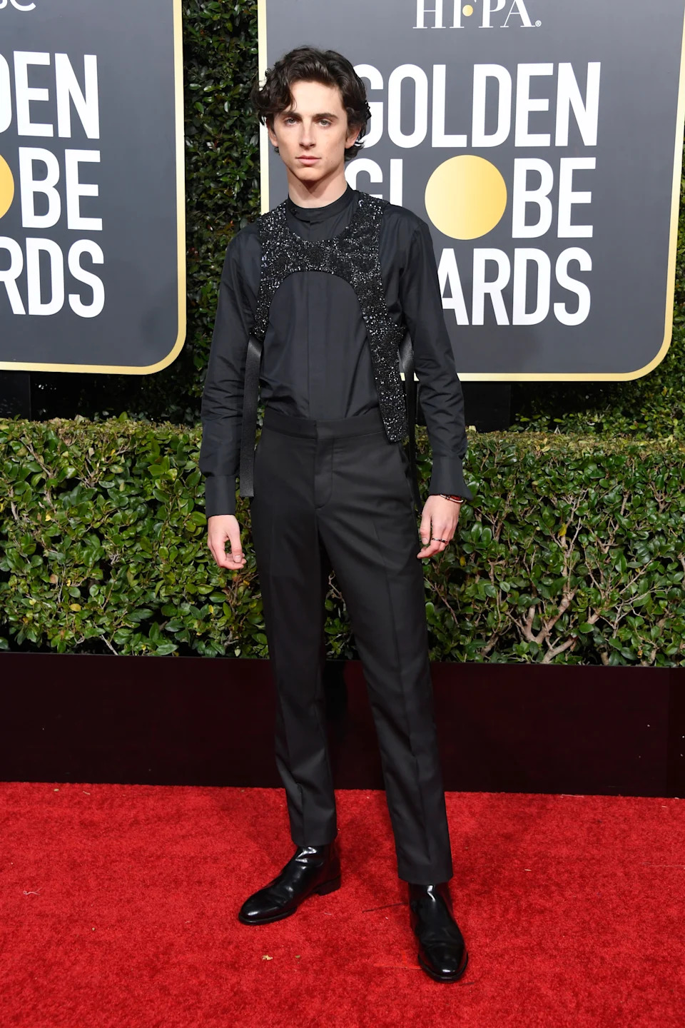 BEVERLY HILLS, CA - JANUARY 06:  Timothee Chalamet attends the 76th Annual Golden Globe Awards at The Beverly Hilton Hotel on January 6, 2019 in Beverly Hills, California.  (Photo by Frazer Harrison/Getty Images)