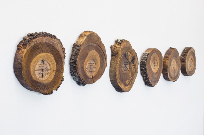 oak tree sound sculptures