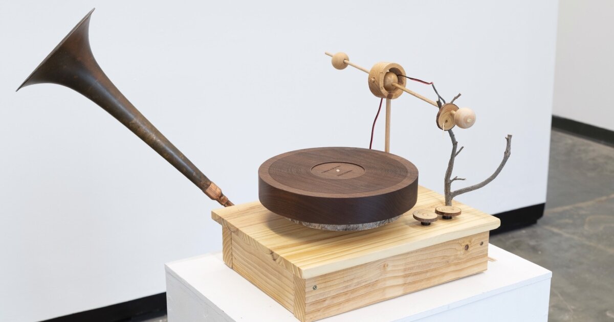 dead oak tree comes back to life as sound sculptures