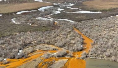 The orange tributary of the Kugororuk River in Alaska is an example of a "rusting river."