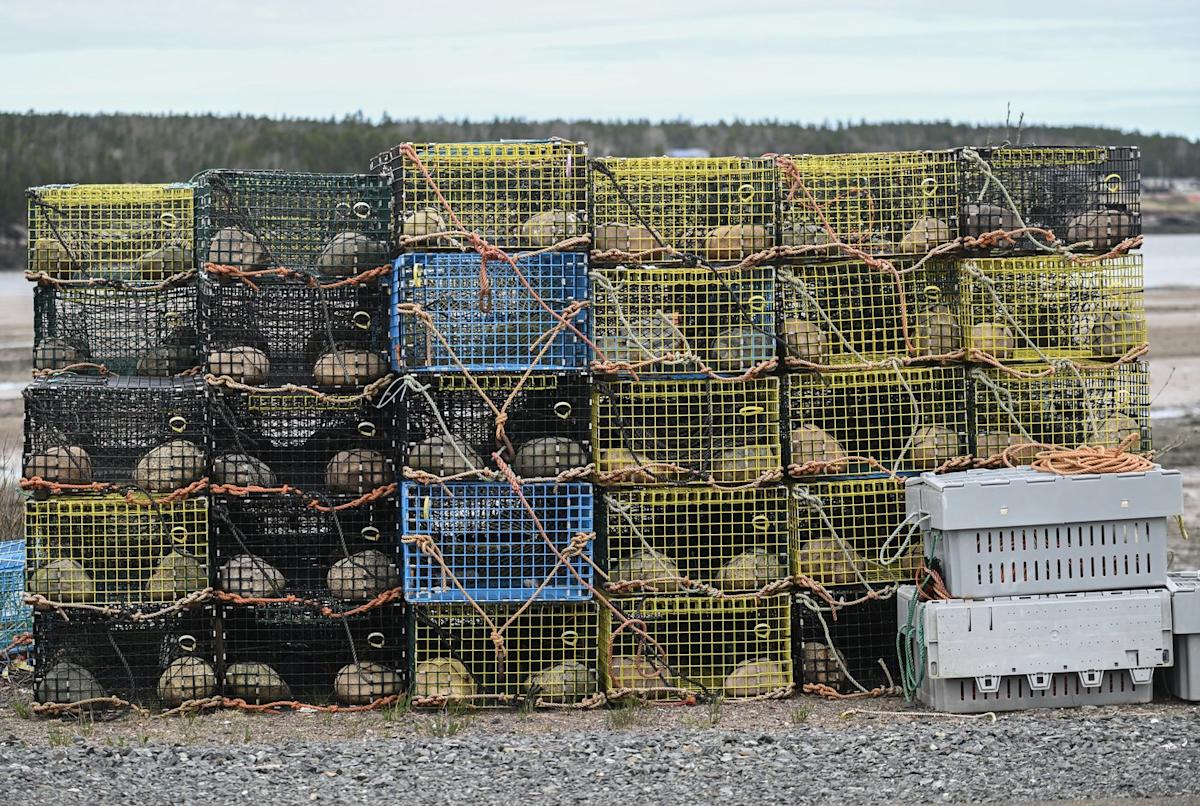 Nova Scotia lobster industry surprised, elated by suspension of Chinese tariff