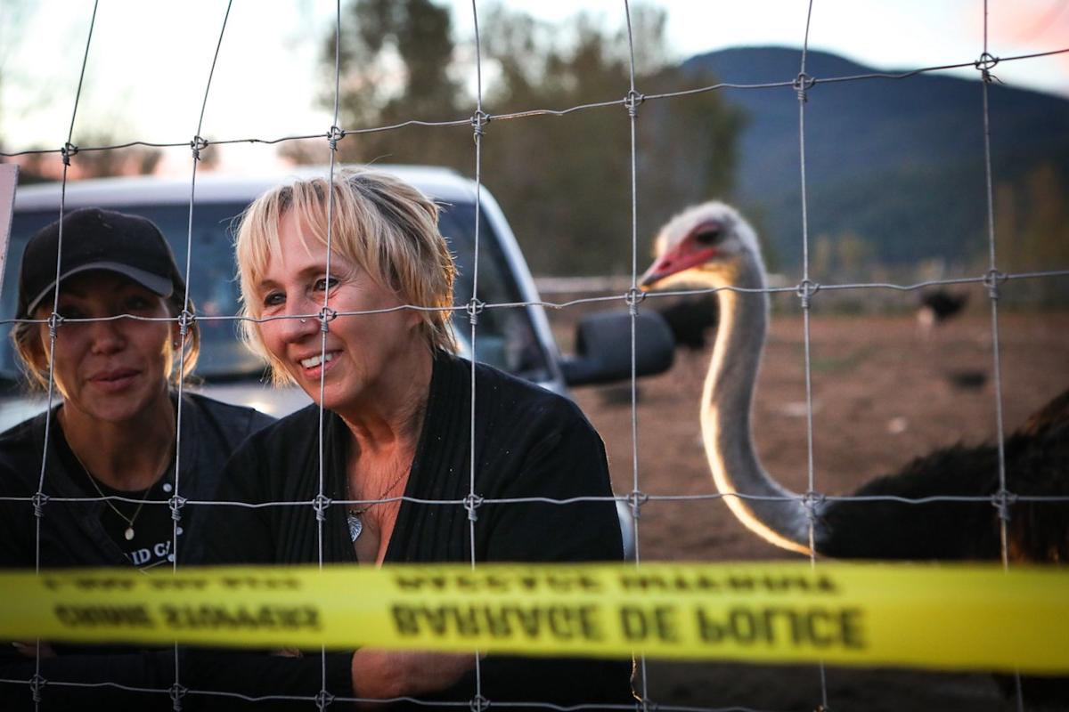 Tribunal upholds $10K fine for B.C. ostrich farm over failure to report sick birds