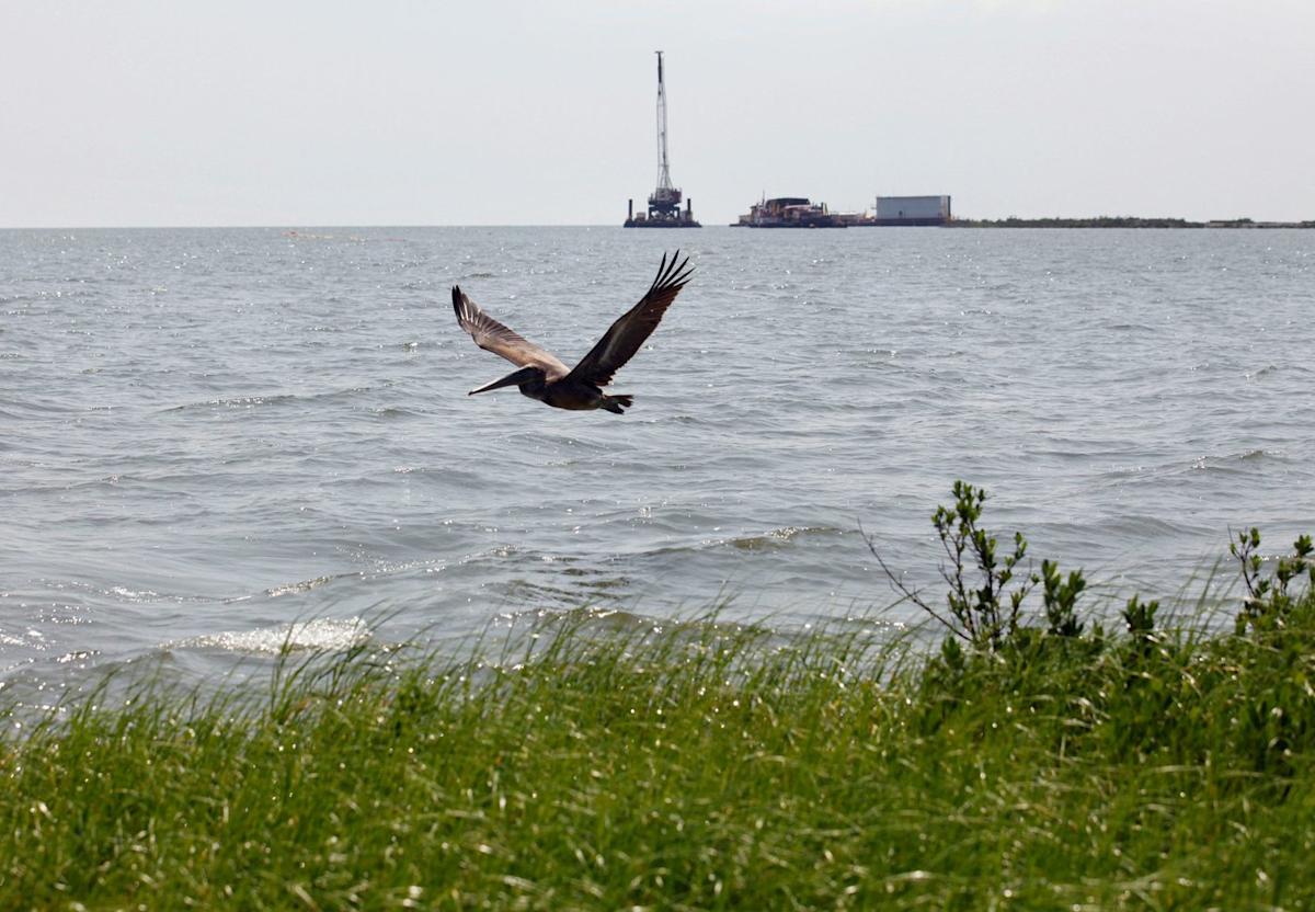 Record $9.6 million fine for Third Coast after substantial oil spill in the Gulf of Mexico