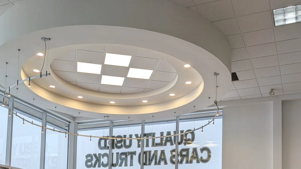 Endless Summer returns June 25-26 celebrating five years