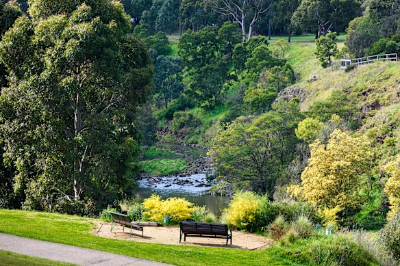 A picture of this rural idyll near the city … Merri Creek.