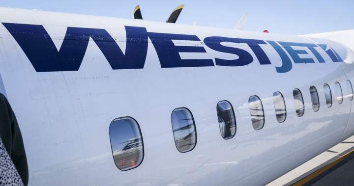 Couple seeks doctor’s note for flight as WestJet speeds up cramped seating review