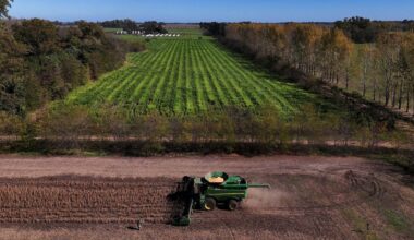 Small plots, age poor training limit production