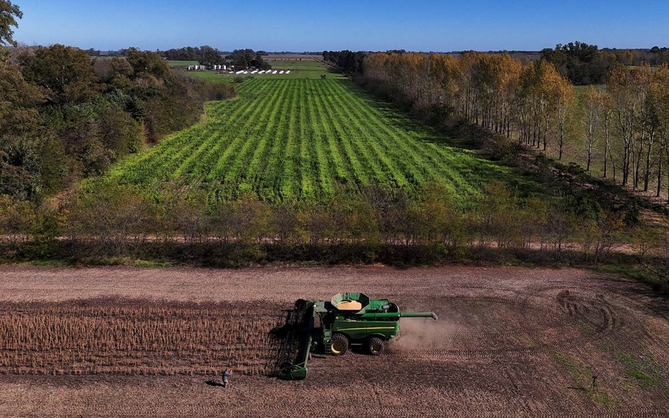 Small plots, age poor training limit production