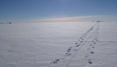 Beneath Antarctica’s largest ice shelf, a hidden ocean is revealing its secrets