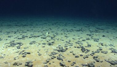Submarine mountains and long-distance waves stir the deepest parts of the ocean