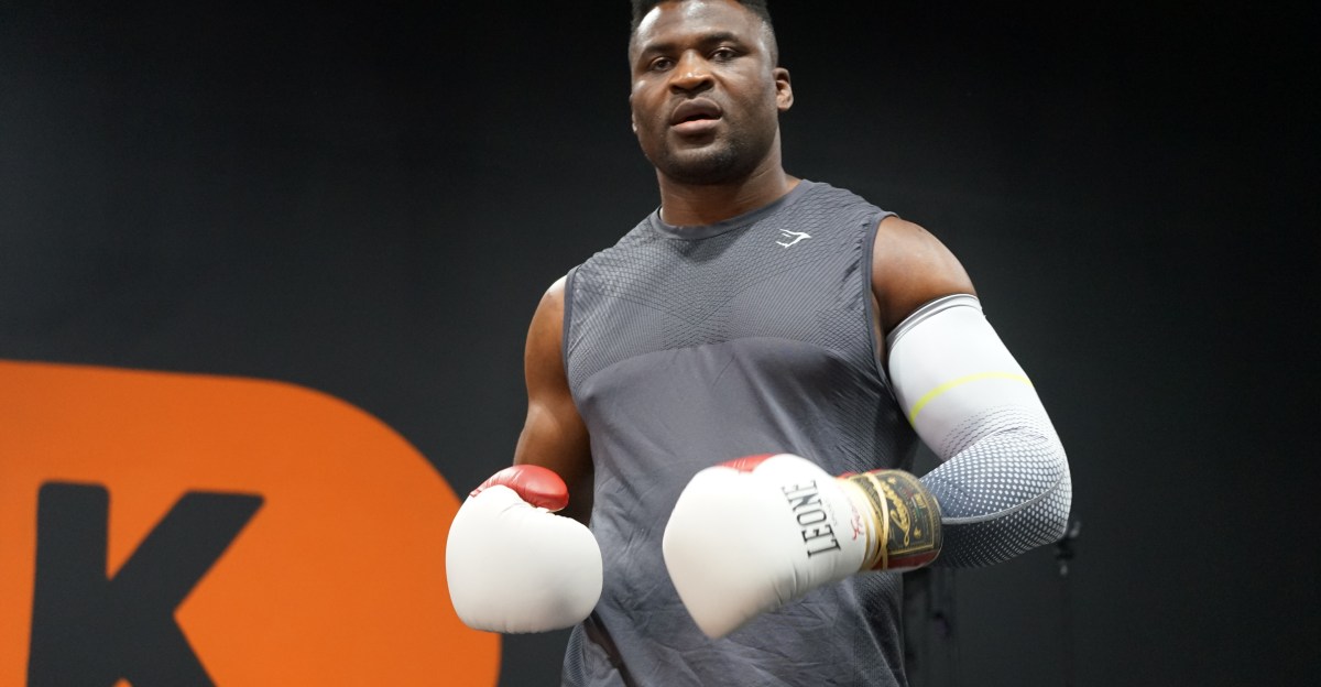 When is Francis Ngannou next fight?