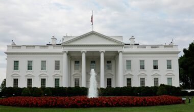 White: UFC Sphere is ‘chump change’ compared to White House card cost