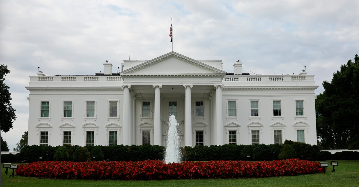 White: UFC Sphere is ‘chump change’ compared to White House card cost