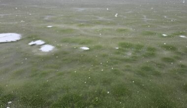 Whoa, Why Has This Frozen Lake Turned Green?