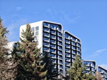 Daylight, telephoto cameras: Honor Magic8 Pro (3.7x) - 85mm, f/2.6, ISO 50, 1/190s (4080x3072px) - Honor Magic8 Pro vs. Oppo Find X9 Pro vs. vivo X300 Pro