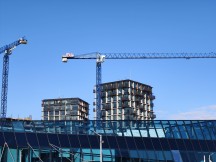 Daylight, telephoto cameras: Oppo Find X9 Pro (3x) - 70mm, f/2.1, ISO 50, 1/304s (4096x3072px) - Honor Magic8 Pro vs. Oppo Find X9 Pro vs. vivo X300 Pro