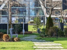 Daylight, telephoto cameras: Honor Magic8 Pro (7.4x) - 170mm, f/2.6, ISO 50, 1/150s (4080x3072px) - Honor Magic8 Pro vs. Oppo Find X9 Pro vs. vivo X300 Pro