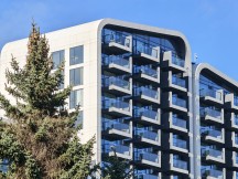 Daylight, telephoto cameras: Honor Magic8 Pro (7.4x) - 170mm, f/2.6, ISO 50, 1/570s (4080x3072px) - Honor Magic8 Pro vs. Oppo Find X9 Pro vs. vivo X300 Pro