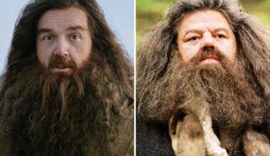 Nick Frost Manifested 'Harry Potter' Role, Wrote 'Hagrid' 7,000 Times