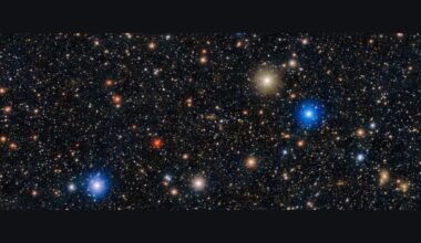 Image of space showing a black sky with hundreds of white dots and a few red, orange, gold and blue dots with halos of light surrounding them.