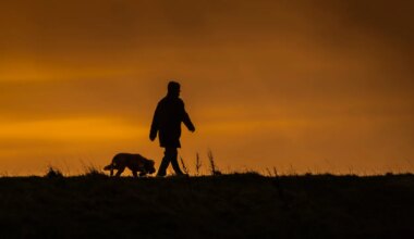 I’ll take a country walk over the gym any day