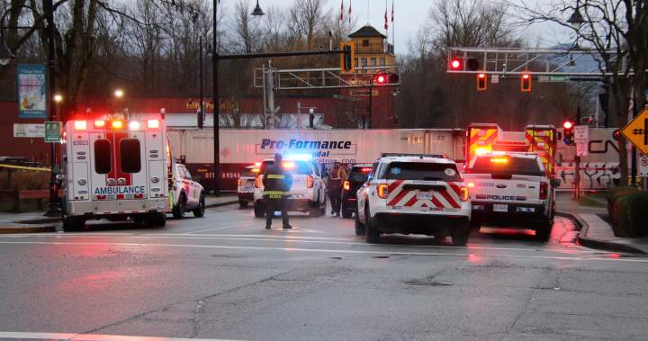 Person hit and killed by train in Fort Langley - BC