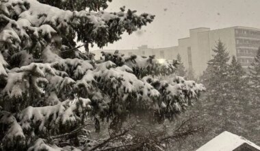 Another round of significant snowfall coming to the Quinte region