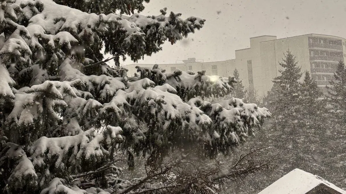 Another round of significant snowfall coming to the Quinte region