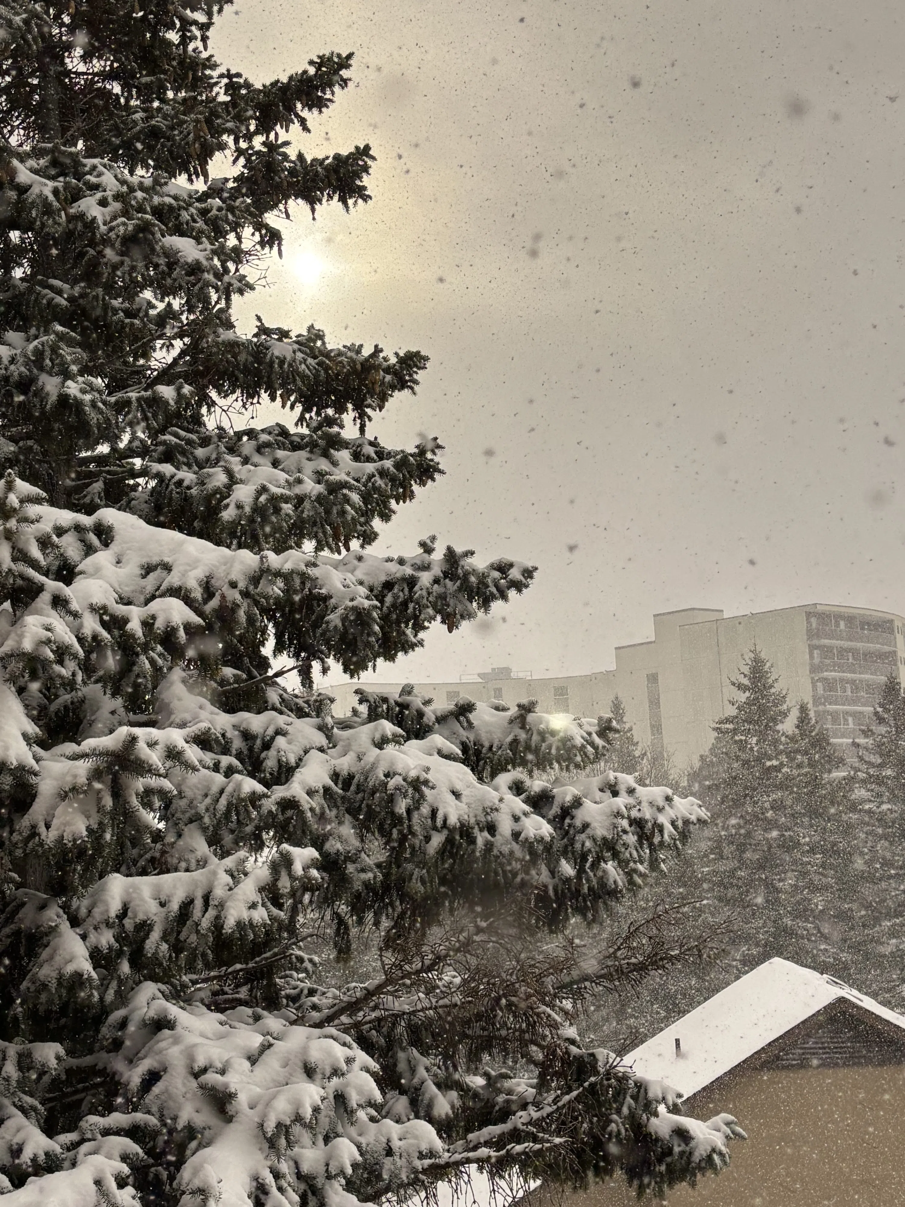 Another round of significant snowfall coming to the Quinte region