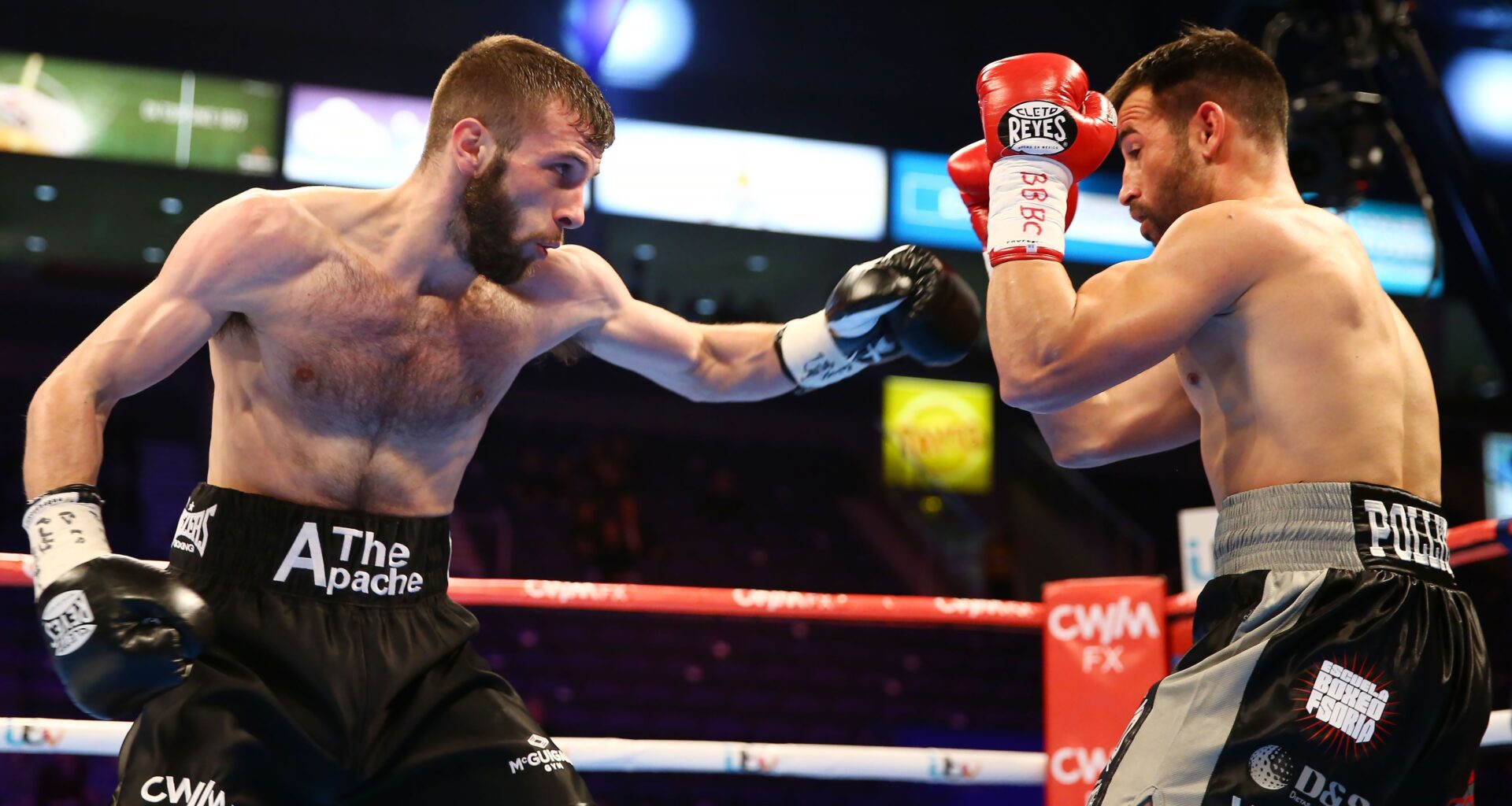 Cacace to challenge for title in Dublin on St Patrick's Day