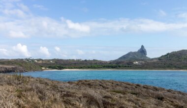 Research has found that lemon sharks, a large shark species, seek out invasive freshwater fish to prey on.
