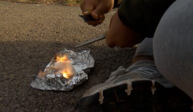 Review finds gaps in RCSD mental health policy, one solution lies in the woods