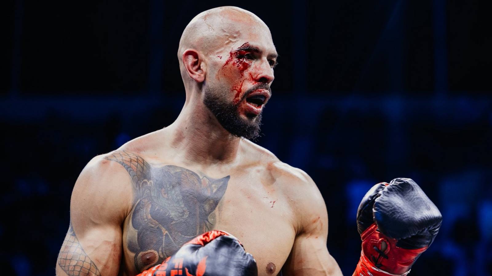 'Brain Damage' — Andrew Tate's Honest Feelings After Brutal Loss in Misfits Boxing