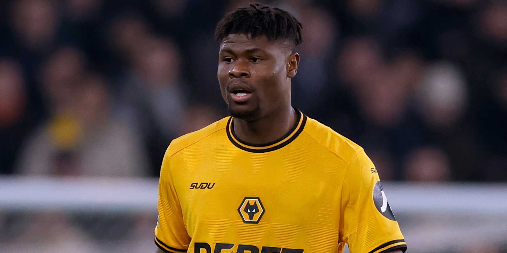 Emmanuel Agbadou in action for Wolverhampton Wanderers