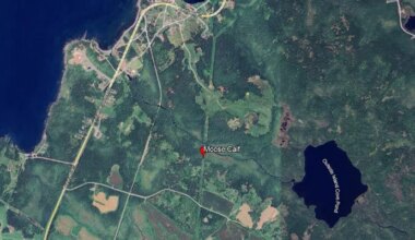 Wildlife Enforcement Investigating Moose Poaching Near Islington