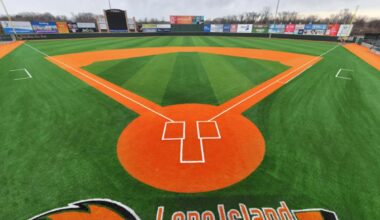 Long Island Ducks bought by company connected with MLB's Rangers
