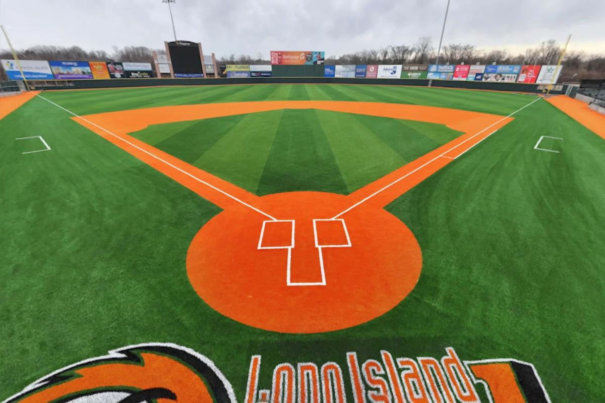 Long Island Ducks bought by company connected with MLB's Rangers