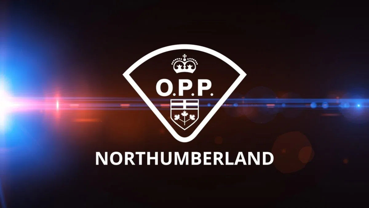 UPDATE: Fatal collision on Highway 401 in Northumberland County