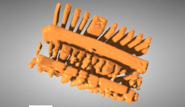 Newswise: Novel AI Method Sharpens 3D X-ray Vision