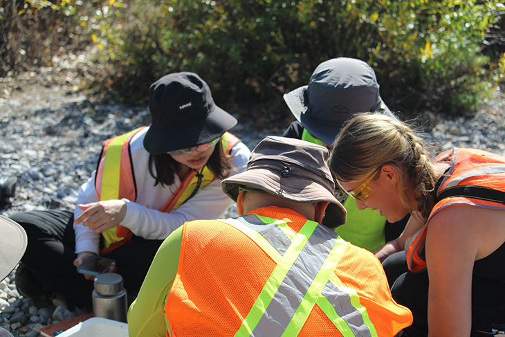 A group wearing safety vests doing outdoor fieldwork on rocky terrain near vegetation.