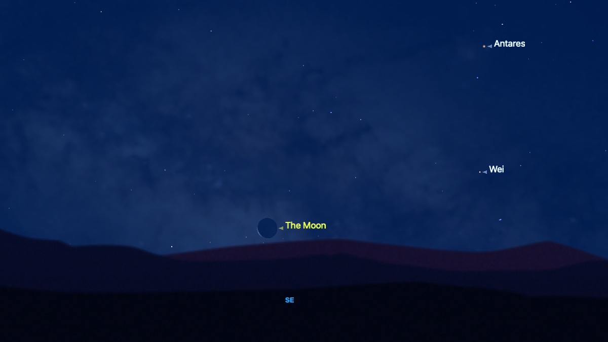 A simulation for the early hours of Jan. 16 showing the razor-thin crescent moon low on the southeastern horizon with the bright stars Antares and Wei labelled to its upper right.