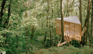 olin petzold hides minimalist treehouse in the woods of switzerland