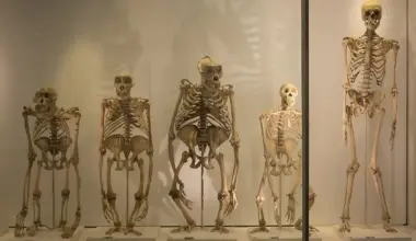 Brighter Side of News