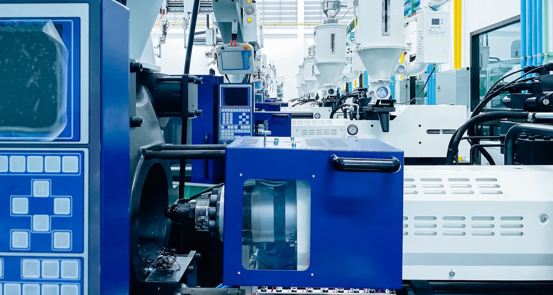 Researchers discovered that phenylpropanoids can help create decomposable polymers, offering a potential solution to plastic pollution.