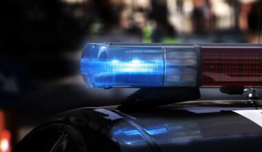 Sault police use-of-force cases 'disproportionate' for Indigenous people, report says