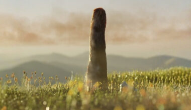 Mysterious Giants Could Be a Whole New Kind of Life That No Longer Exists : ScienceAlert